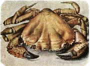 Albrecht Durer Lobster 1495 Watercolour and gouache Spain oil painting artist